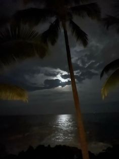 the moon is setting over the ocean with palm trees in foreground and dark clouds