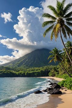 the beach is lined with palm trees and rocks