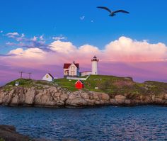 two birds flying over the ocean and some houses on top of an island with lighthouses