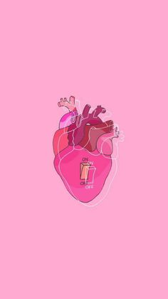 a drawing of a human heart on a pink background