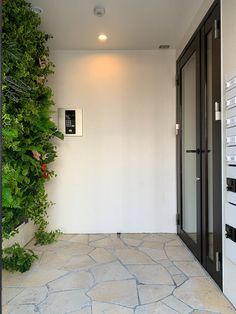 an open door leading to a room with plants growing on the walls and flooring