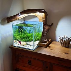 a fish tank sitting on top of a wooden table next to a tree branch and other items