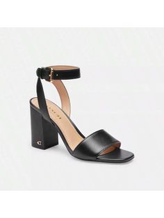 Leather upper Man-made leather lining and footbed Rubber outsole Buckle closure 3 1/4 heel Style No. CR880 | Coach Outlet Shelby Sandal - Black, Size - 7 
Outlet Coach Outlet Shelby Sandal Black Cool,Elegant,Fashionable        Women Shoes, size features are:Bust: ,Length: ,Sleeve Length: Coach Outlet, Womens Sandals Flat, Kids Beachwear, Maternity Bag, Flat Sandals, Black Sandals, Luggage Bags, Women Clothes Sale, Kids Shoes