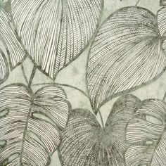 Sample Monstera Wallpaper in Olive Sage Monstera Leaf Wallpaper, Monstera Wallpaper, Heart Projects, A Wallpaper, Leaf Wallpaper, Breath Of Fresh Air, Burke Decor, Monstera Leaf, Wallpaper Roll