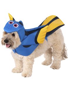 a small dog wearing a blue and yellow costume with a fish on it's chest