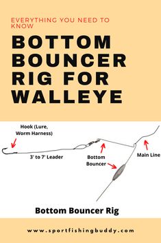 the bottom bouncer rig for walleye is shown with arrows pointing up and down