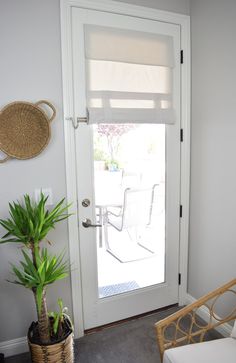 a white door with a plant in front of it