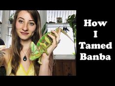 a woman holding up a lizard in her hand with the words how i tamed banba