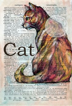 a drawing of a cat sitting on top of an open book with the word cat written in