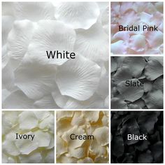 white, black, ivory, cream and bridal pink flowers are shown in four different colors