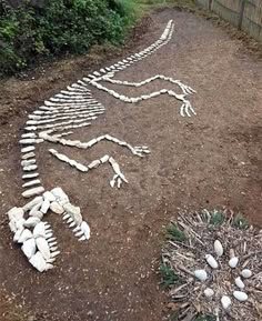 a skeleton is laying on the ground next to some plants and rocks in front of a fence