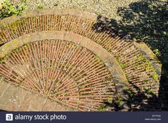 an old brick circle in the ground with grass growing on it's sides, viewed from above