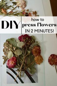 how to press flowers fast in the microwave Flower Pressing Journal, Pressing Flowers Diy, Press Flowers In A Frame, Diy Pressed Flowers Frame, Press Roses, Wedding Flowers Preservation Ideas, Diy Pressed Flowers, Flowers In A Frame, Microwave Flower Press