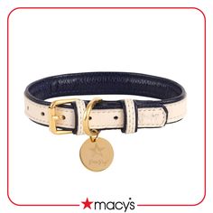 a white and black leather dog collar with a gold plated star on the front