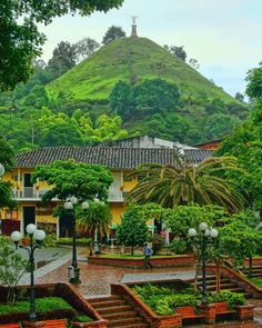 a green mountain in the background with trees around it