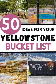 the yellowstone bucket list is filled with things to see and do