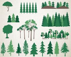 various types of trees are shown in this image