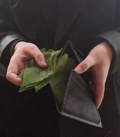 a person holding a wallet with leaves in it's pocket and the caption says, what do you mean by money?