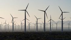 a large group of windmills in a field