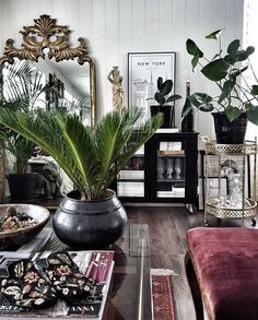 a living room filled with lots of furniture and plants on top of a wooden floor