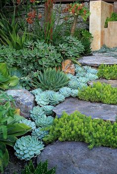 a garden filled with lots of green plants and stone walkways next to rocks in the grass