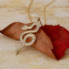 ✦ 14k Solid Gold Snake Chain Necklace Gift Pendant Jewelry for Womens Christmas Gift Birthday Gift Valentines Day Gift Mothers Day Gift ✦ The dimensions of our product are in the minimal category. Product dimensions are indicated in inches and millimeters in the last picture. ✦ Fast and Free Shipping. ✦ Our products are made of 14k pure gold. ✦ All our products have excellent quality and bright surface. ✦ Our products do not contain nickel and similar carcinogenic substances. ✦ Our products will Valentine's Day Gift Snake Chain Necklace, Dainty Snake-shaped Necklace For Gift, Snake-shaped Yellow Gold Jewelry For Gifts, Yellow Gold Snake-shaped Necklace For Gift, Brass Snake-shaped Necklace For Gifts, Gold Snake Chain, Snake Necklace, Gold Snake, Christmas Gifts For Women