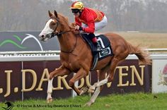 a man riding on the back of a brown horse