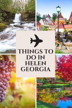 the top things to do in helen georgia