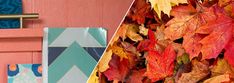 colorful leaves on the side of a pink building and an image of a blue door