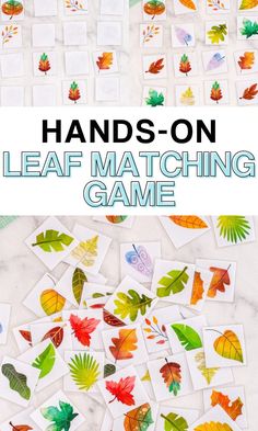 hands - on leaf matching game for kids to play with