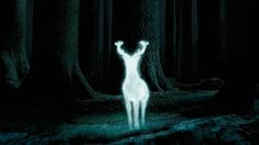 a person standing in the middle of a forest at night with their arms raised up