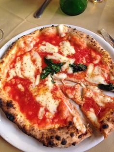 two slices of pizza on a white plate with sauce and spinach leaf toppings