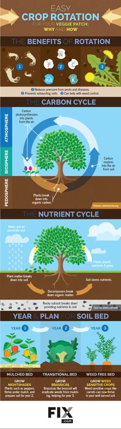 an info poster showing the different types of water and landforms, including trees, plants,