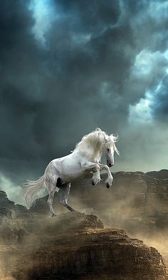 a white horse is galloping in the desert on a stormy day with dark clouds