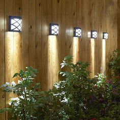 four lights on the side of a wooden wall next to plants and potted plants