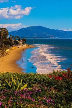 the beach is lined with palm trees and people walking on it, along with mountains in the distance