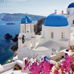 white and blue buildings overlooking the ocean with pink flowers in blooming pots on either side