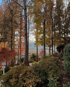 the road is lined with trees and bushes, along with a sign that says it's fall