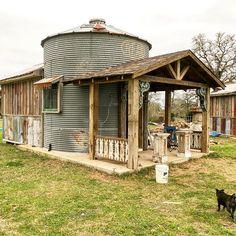 a dog standing in front of a building with a water tank on it's roof