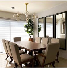 a dining room table with chairs and a potted plant in the middle of it