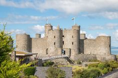 a castle with a bridge going across it