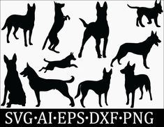 the silhouettes of dogs are shown in black and white