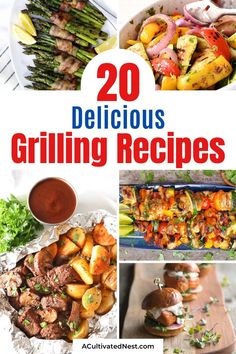 the top 20 delicious grilled grilling recipes