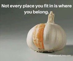 an orange and white onion sitting on top of a table next to a gray background