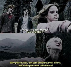 harry potter and hermione friends in front of a castle with the caption baby please make you a new cake please?