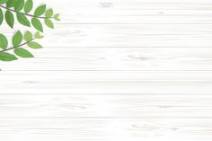 green leaves on white wood background