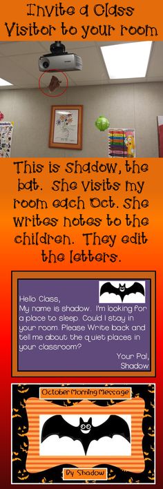 an orange and black poster with text on it that says, this is shadow, the bat