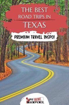 the best road trips in texas with text overlay that reads premium travel inspo