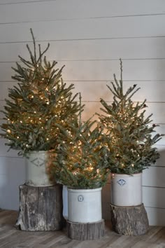 three small christmas trees in tin cans with lights