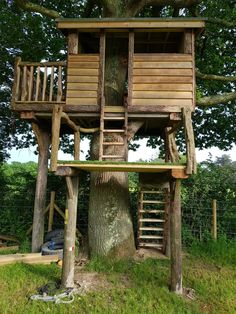 a tree house built into the side of a tree